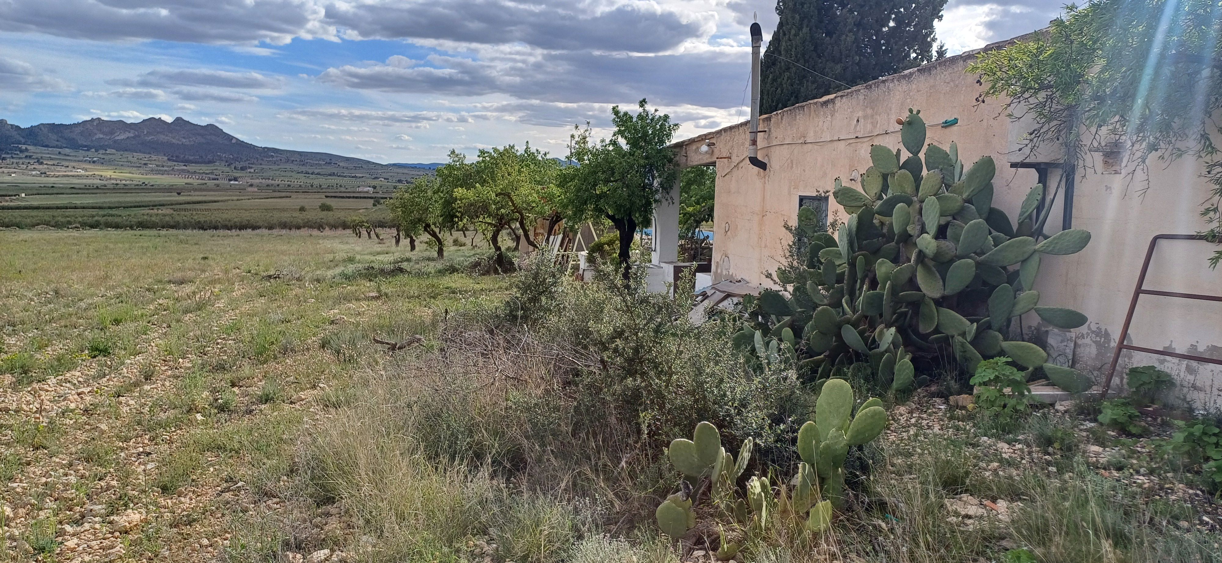 CHALET CON AGUA Y LUZ EN YECLA