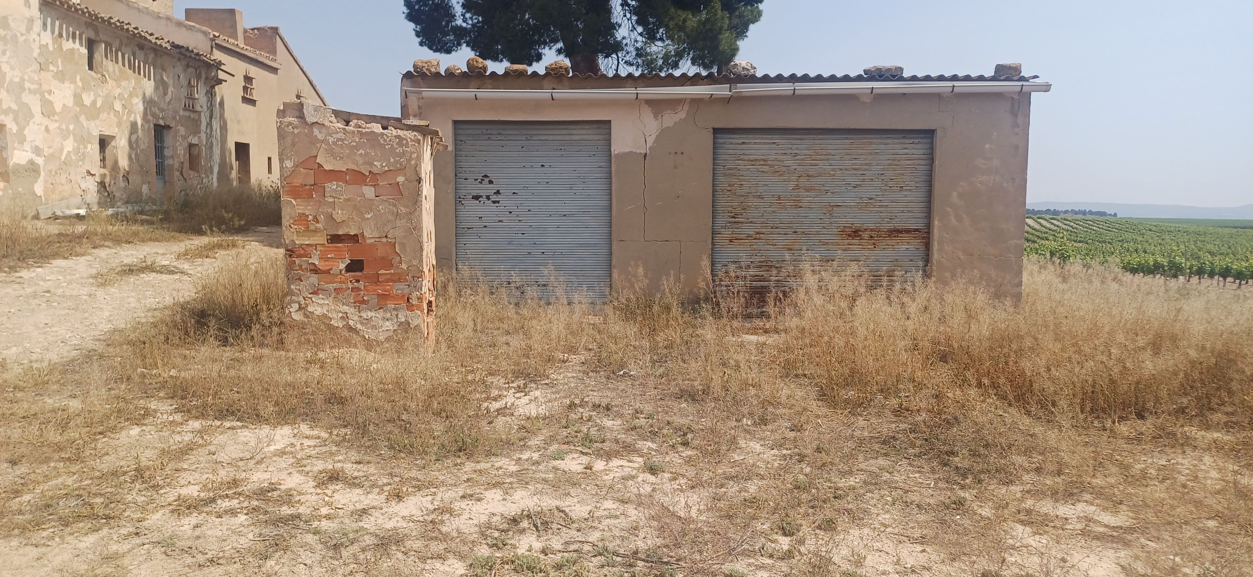 CAMPO CON CASA 157 METROS Y EN EL TERMINO DE YECLA