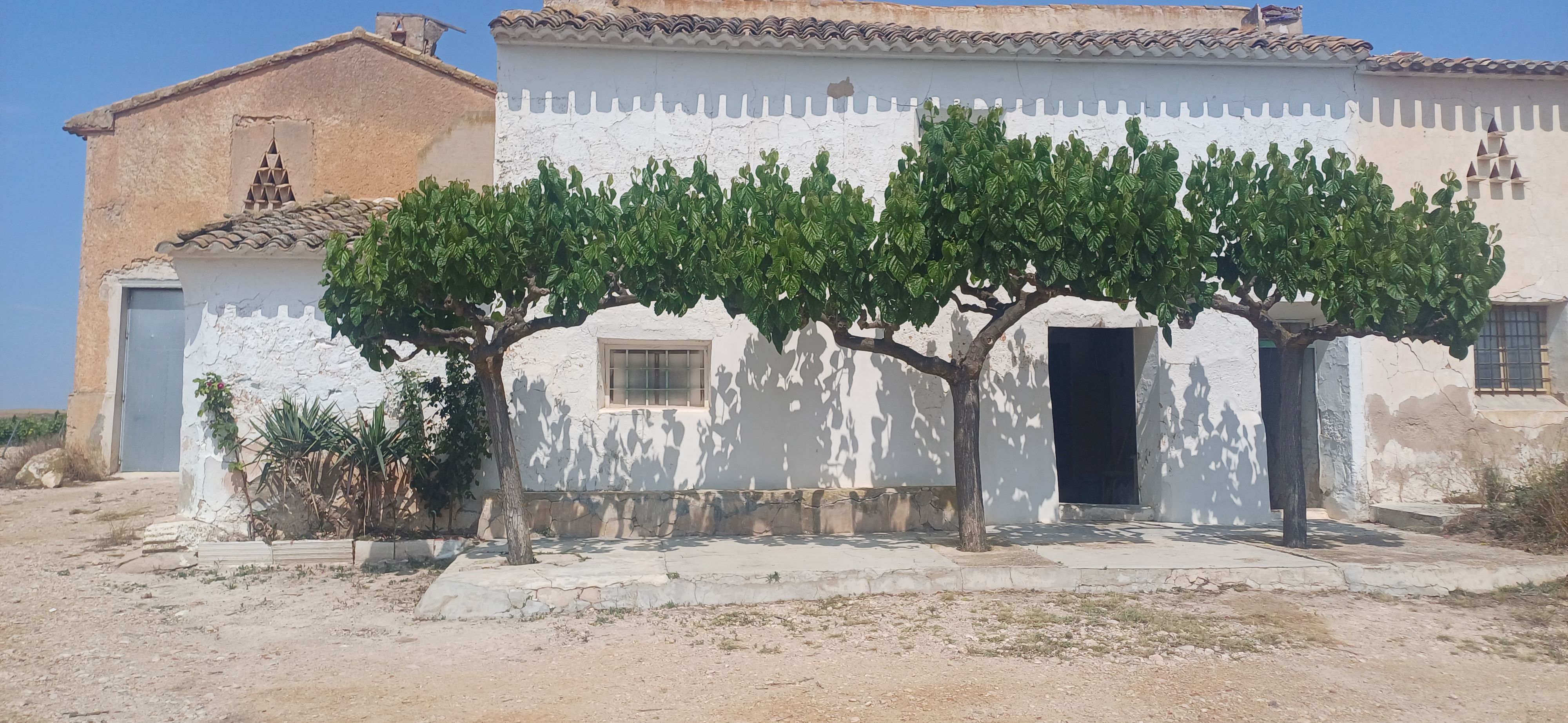 CASA DE CAMPO ADOSADA DE 157 MTS. EN YECLA