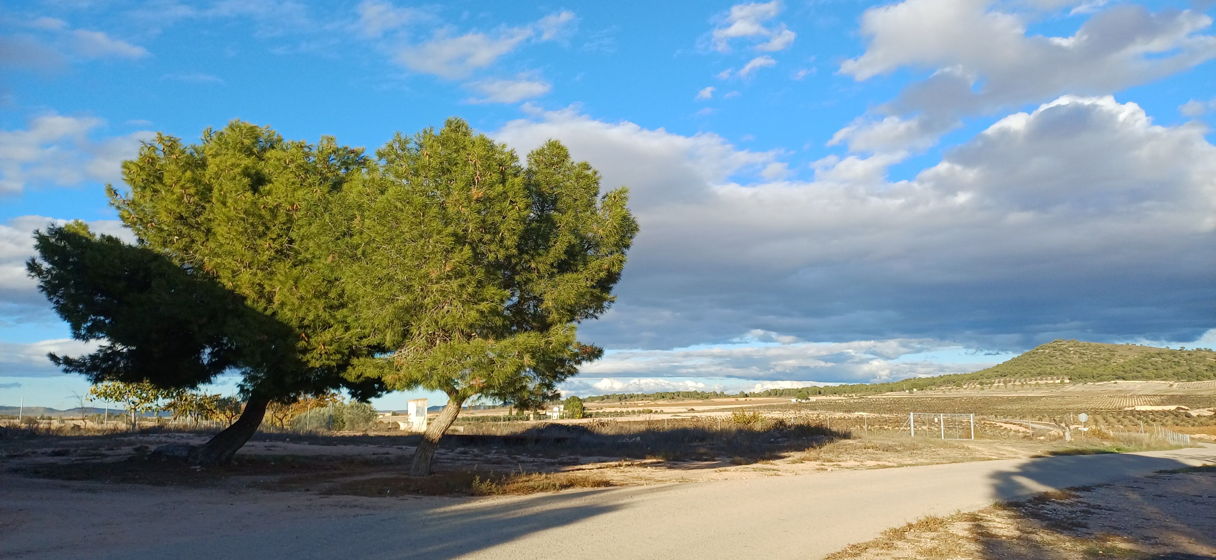 CASA DE CAMPO ADOSADA CON 2 COCHERAS CERRADAS INDEPENDIENTES Y EN YECLA