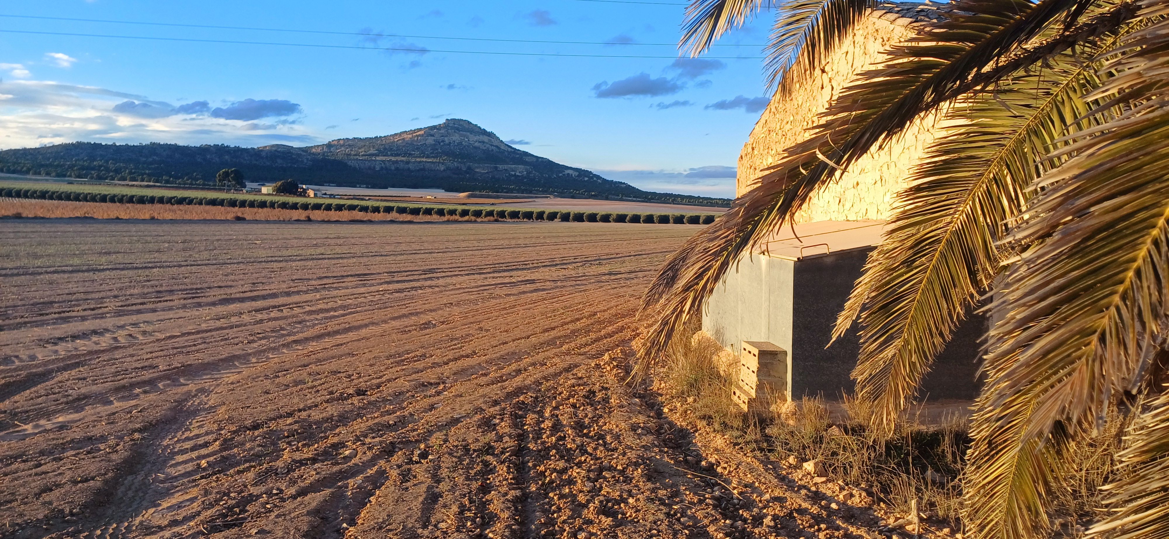 TERRENO RUSTICO CON AGUA DE POZO Y CASA EN YECLA