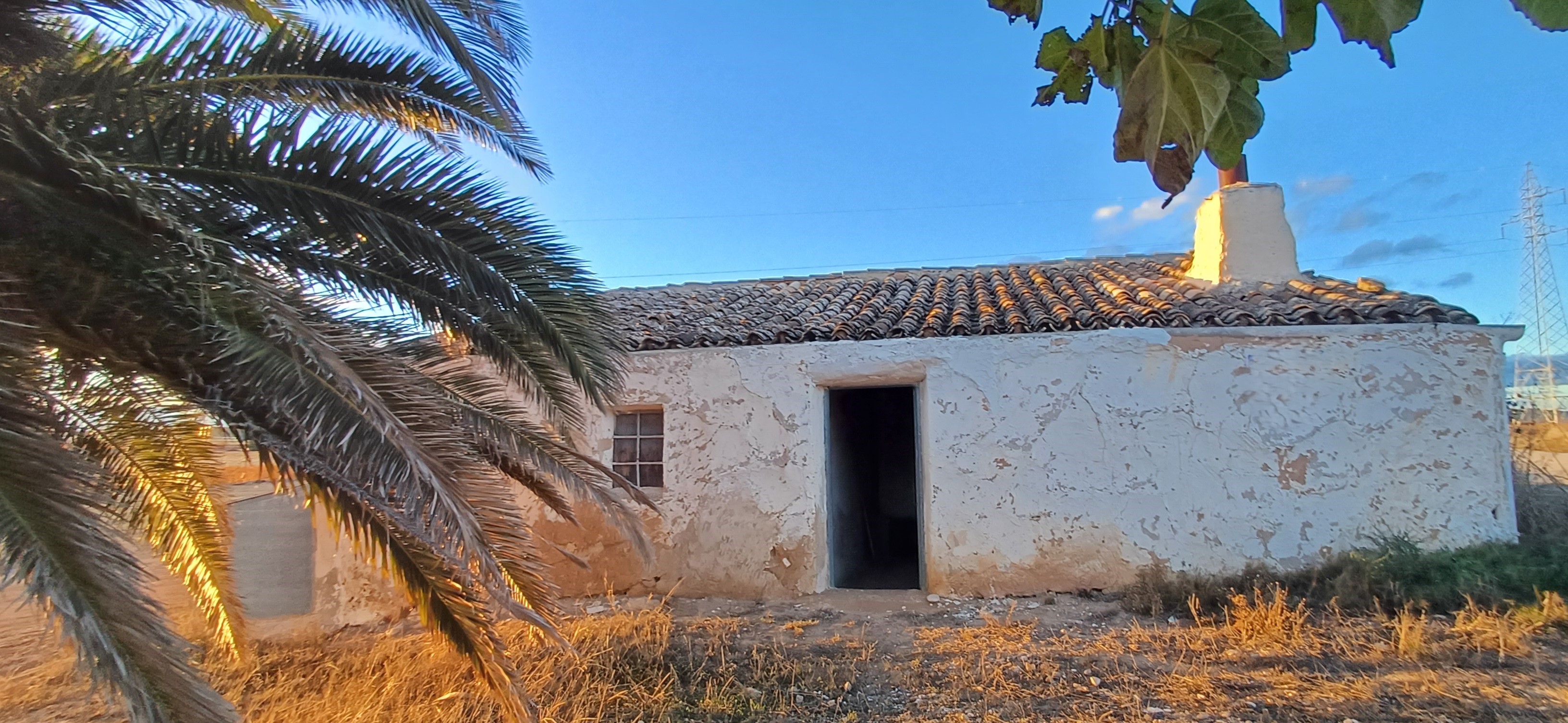 TERRENO RUSTICO CON AGUA DE POZO Y CASA EN YECLA