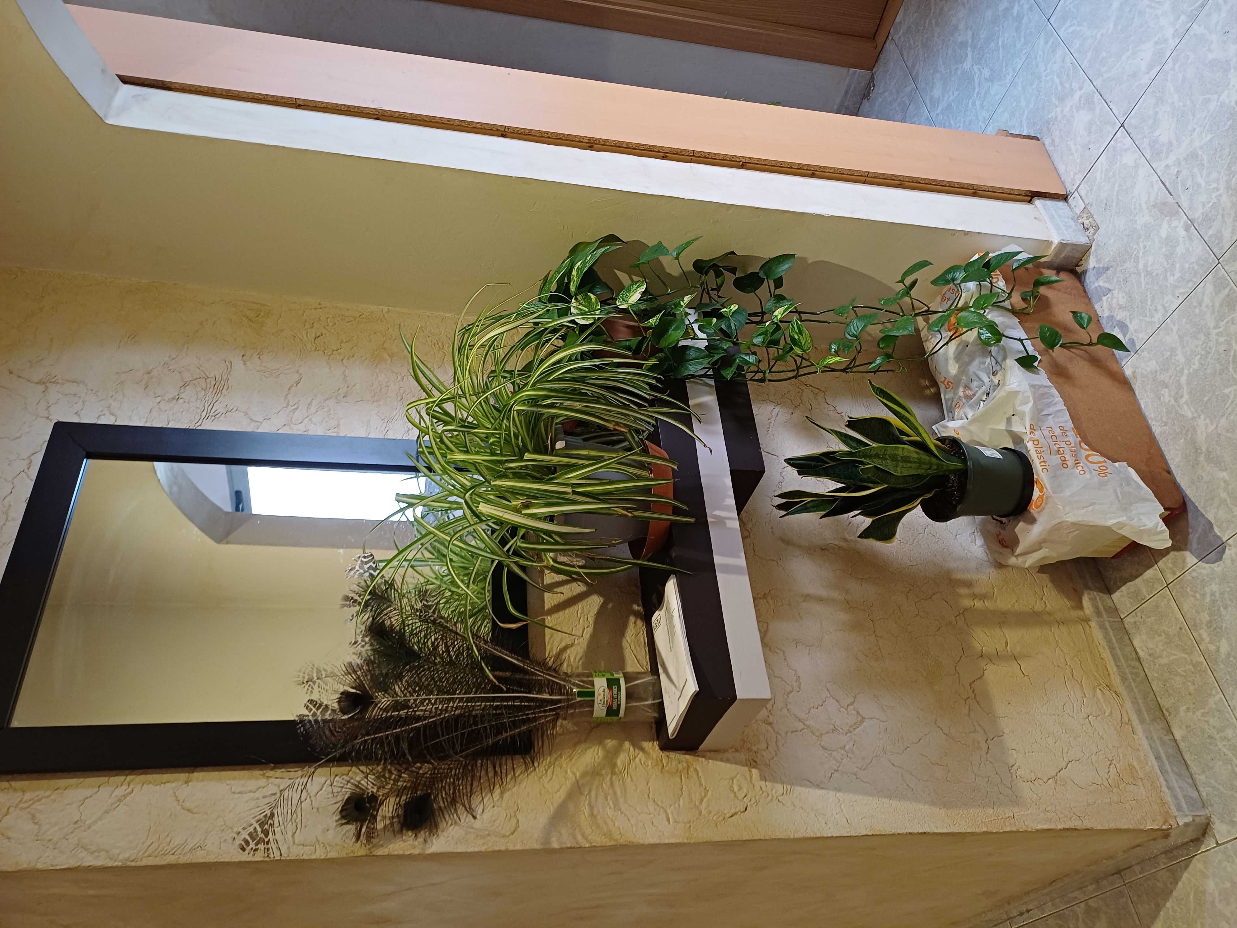 PISO REFORMADO CON MUEBLES CENTRICO Y EN YECLA