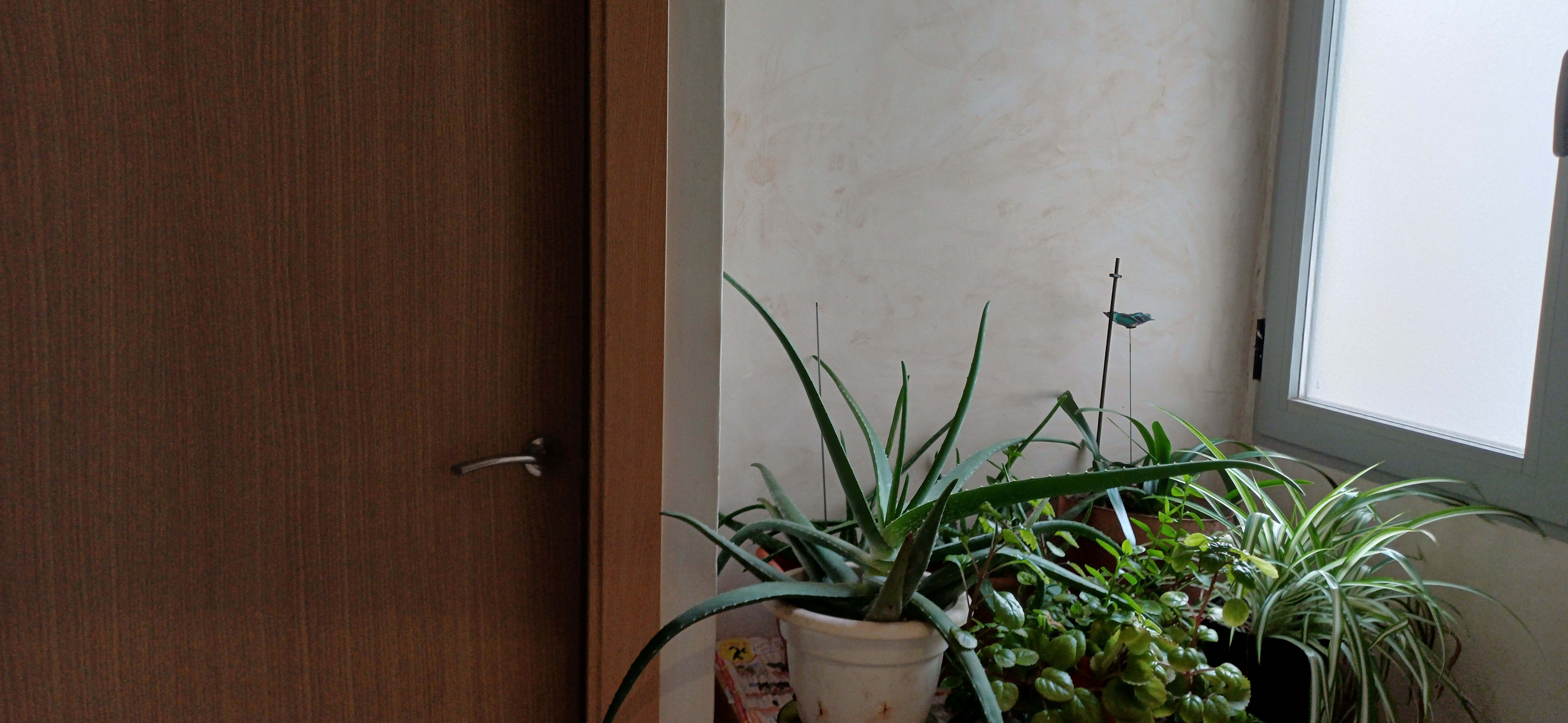 PISO REFORMADO CON MUEBLES CENTRICO Y EN YECLA