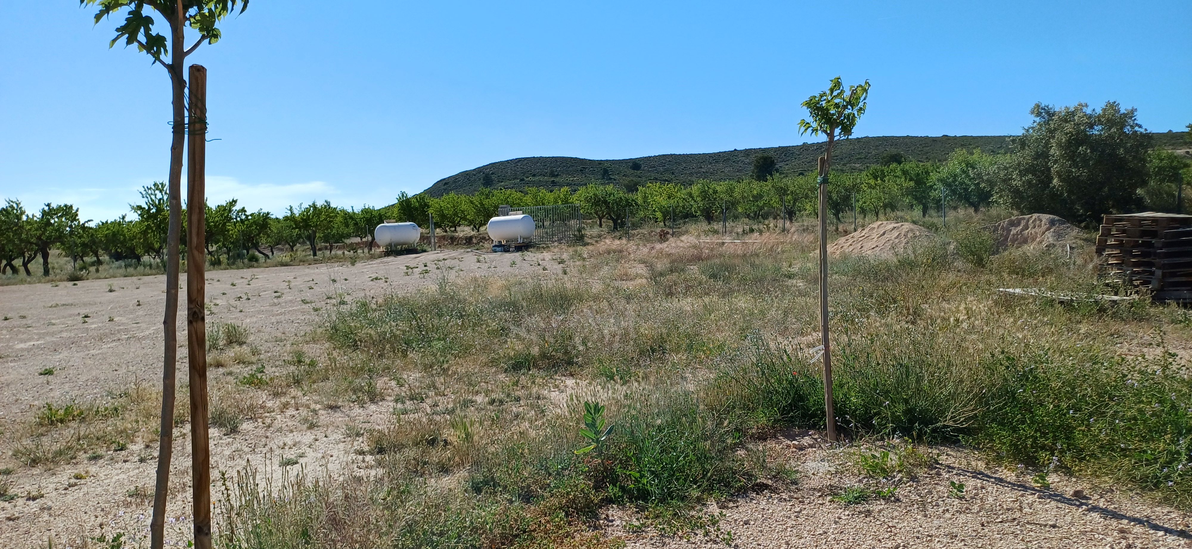 CHALET PARA ENTRAR A VIVIR EN ALTOS DE CAUDETE Y EN YECLA