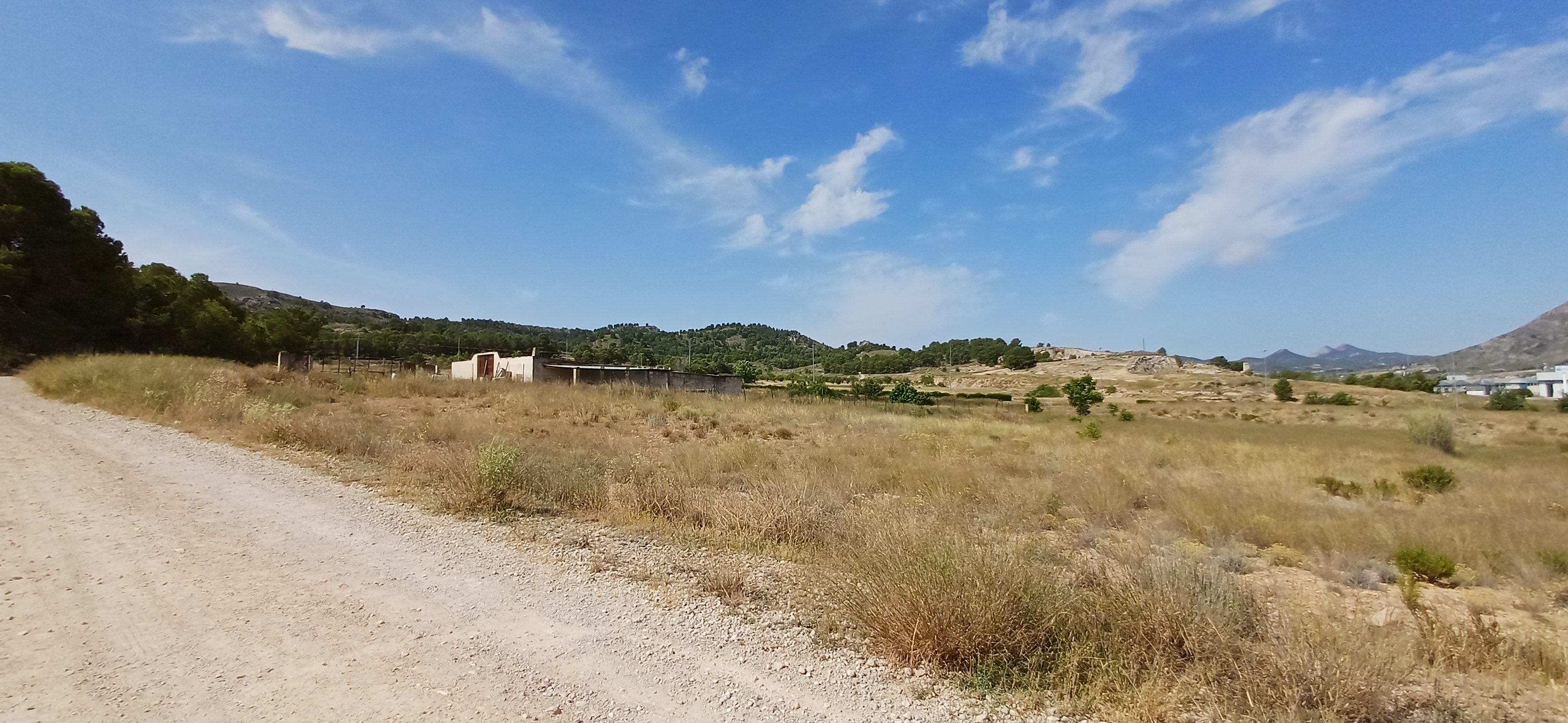 CAMPO JUNTO AL MONTE DEL CASTILLO CON TRASTEROS Y EN YECLA