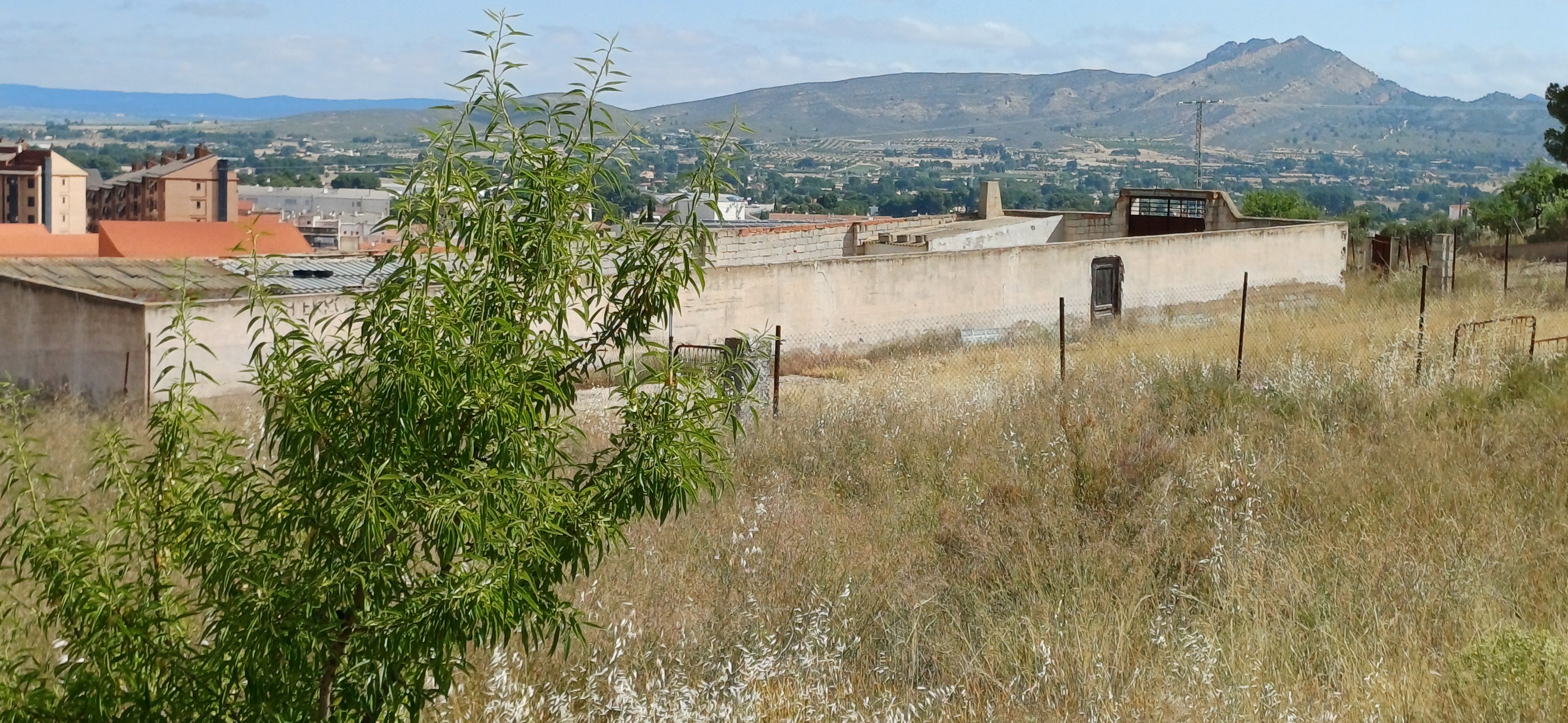 CAMPO JUNTO AL MONTE DEL CASTILLO CON TRASTEROS Y EN YECLA