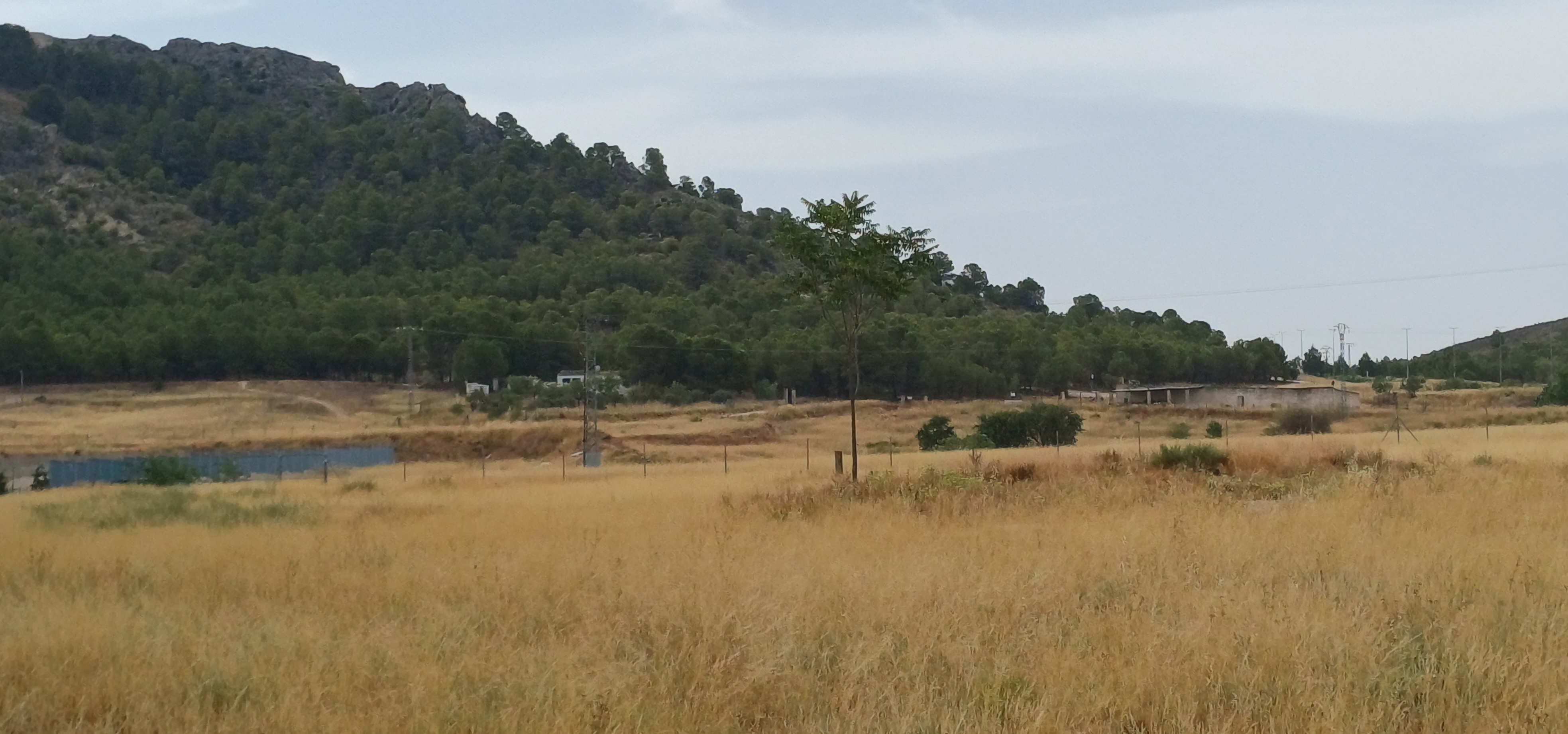 CAMPO JUNTO AL MONTE DEL CASTILLO CON TRASTEROS Y EN YECLA