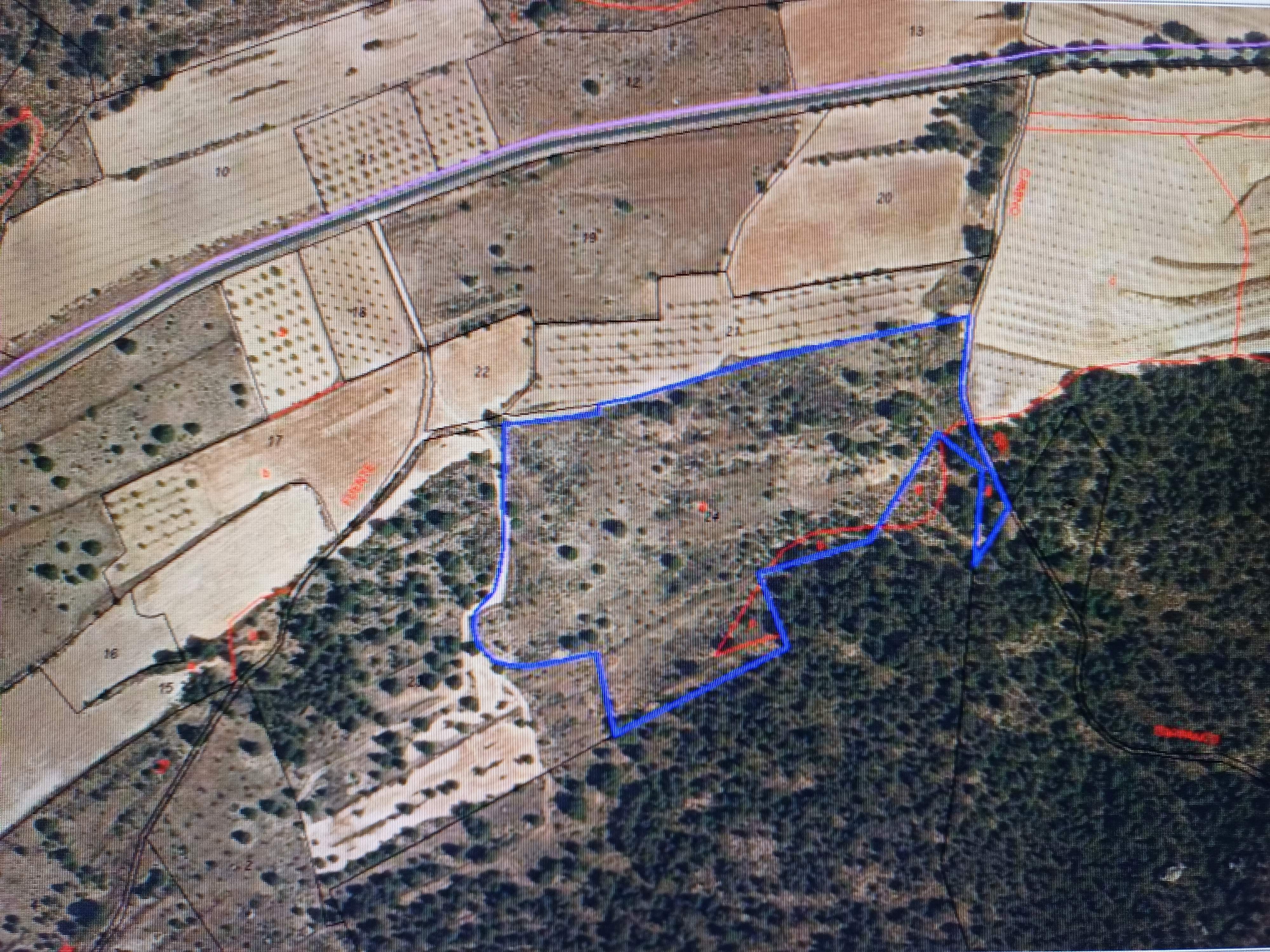 PARCELA DE TERRENO YERMO JUNTO A MONTE DE PINOS Y EN YECLA