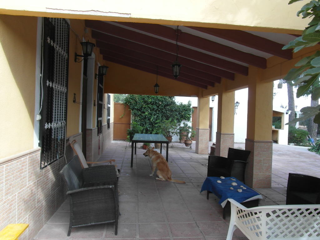 CHALET A 1 KM DE YECLA PARA VIVIR TODO EL AÑO