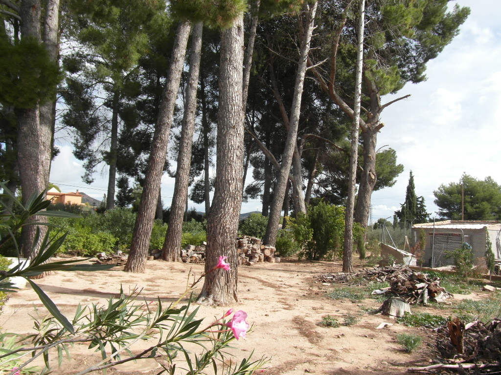 CHALET A 1 KM DE YECLA PARA VIVIR TODO EL AÑO