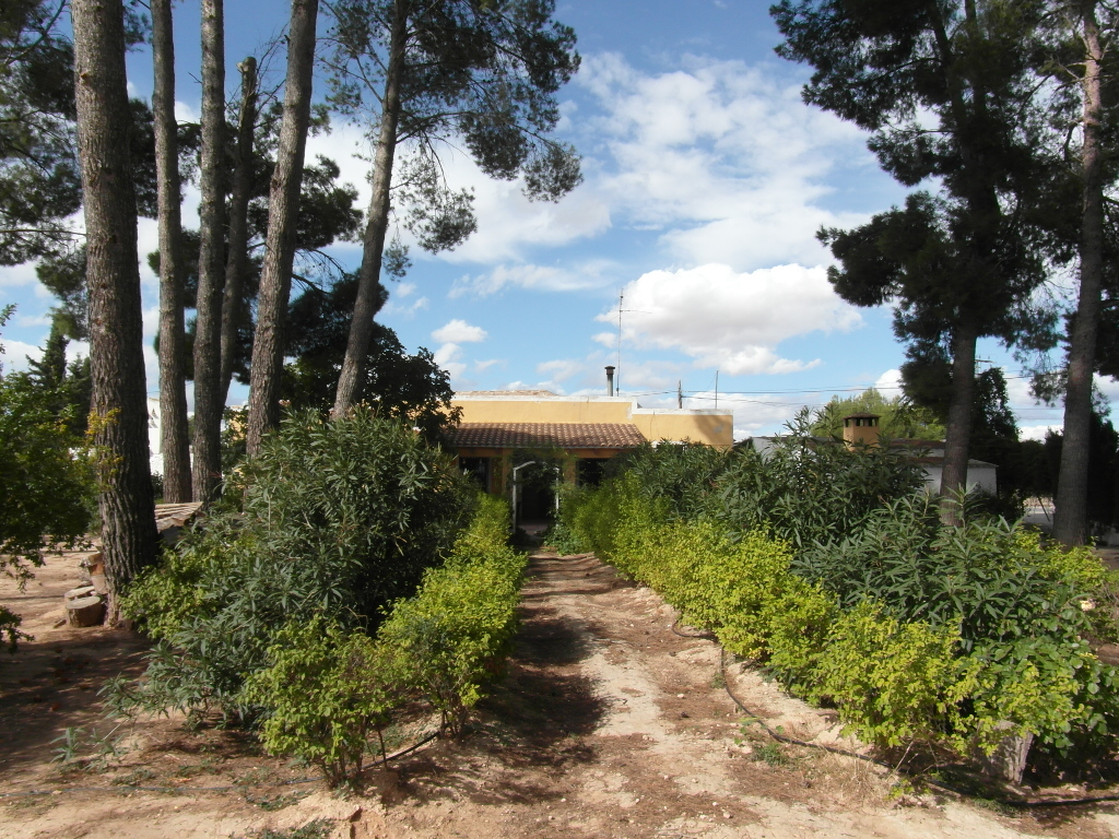 CHALET A 1 KM DE YECLA PARA VIVIR TODO EL AÑO
