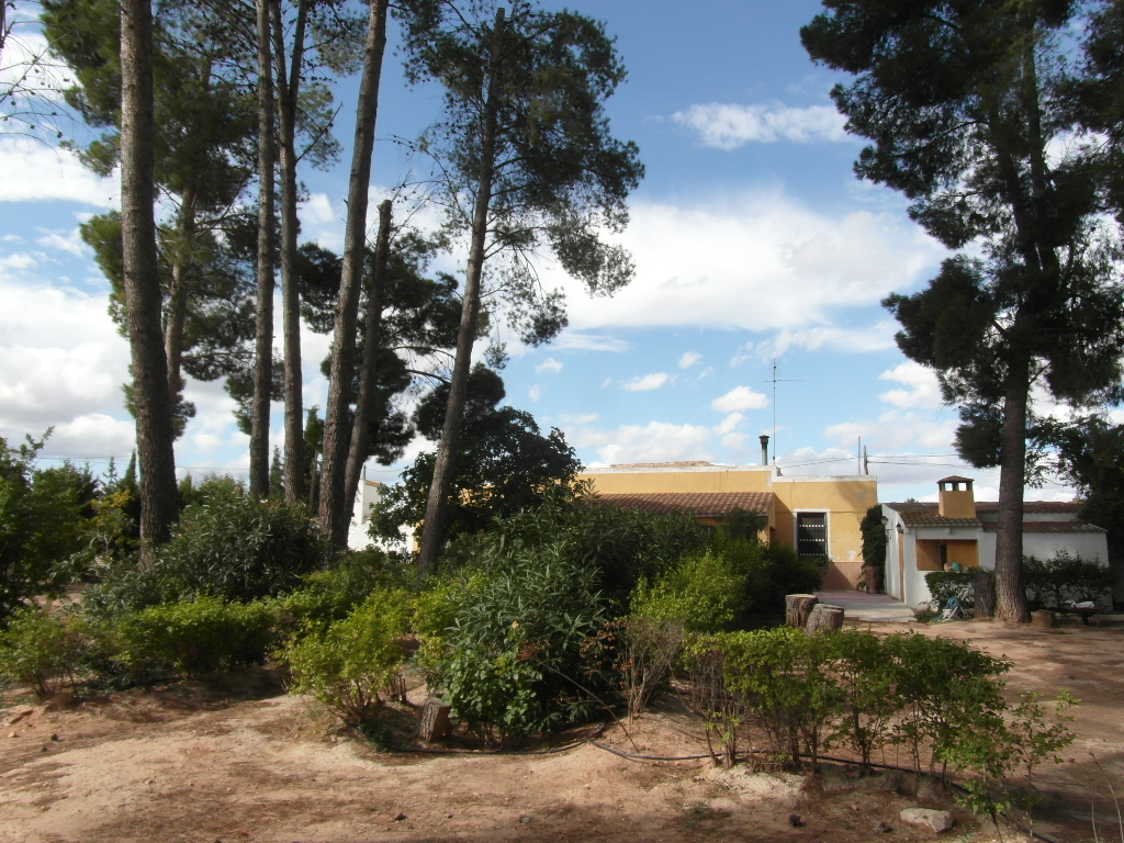 CHALET A 1 KM DE YECLA PARA VIVIR TODO EL AÑO