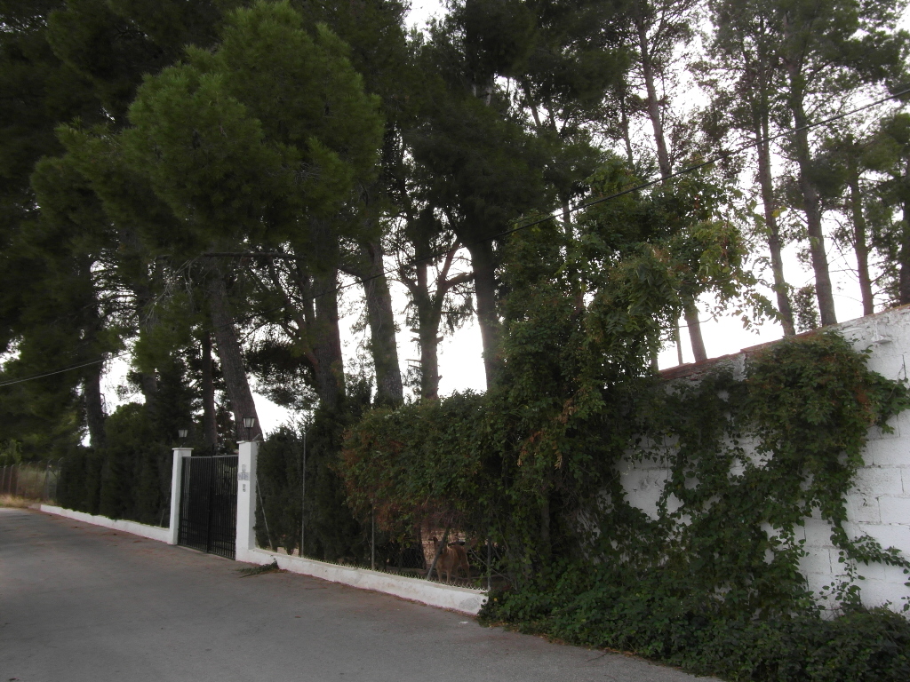 CHALET A 1 KM DE YECLA PARA VIVIR TODO EL AÑO