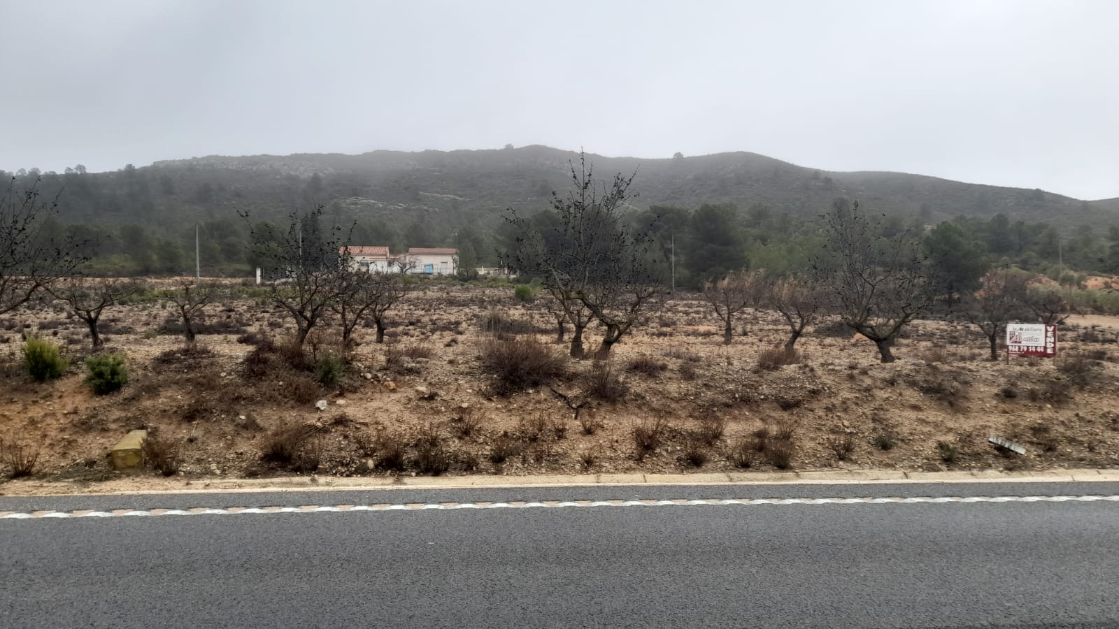 TERRENO RUSTICO A ORILLA DE LA CARRETERA DE CAUDETE Y EN YECLA