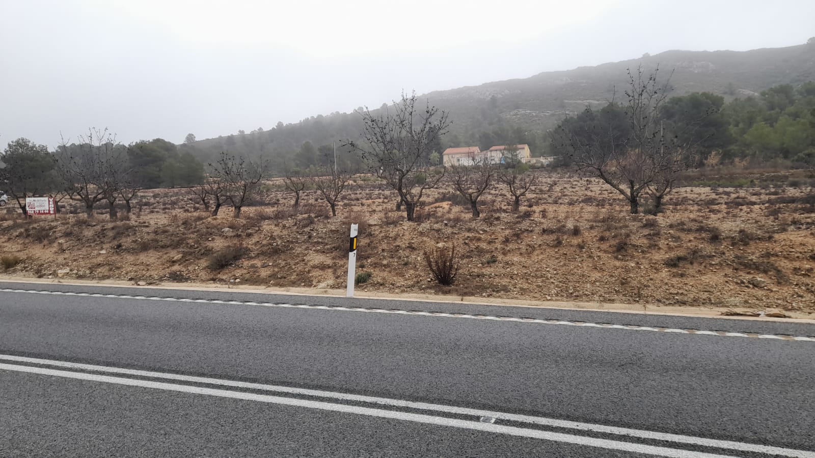 TERRENO RUSTICO A ORILLA DE LA CARRETERA DE CAUDETE Y EN YECLA