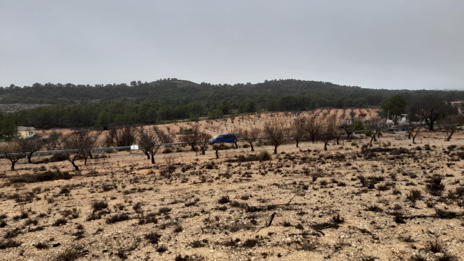 TERRENO RUSTICO A ORILLA DE LA CARRETERA DE CAUDETE Y EN YECLA