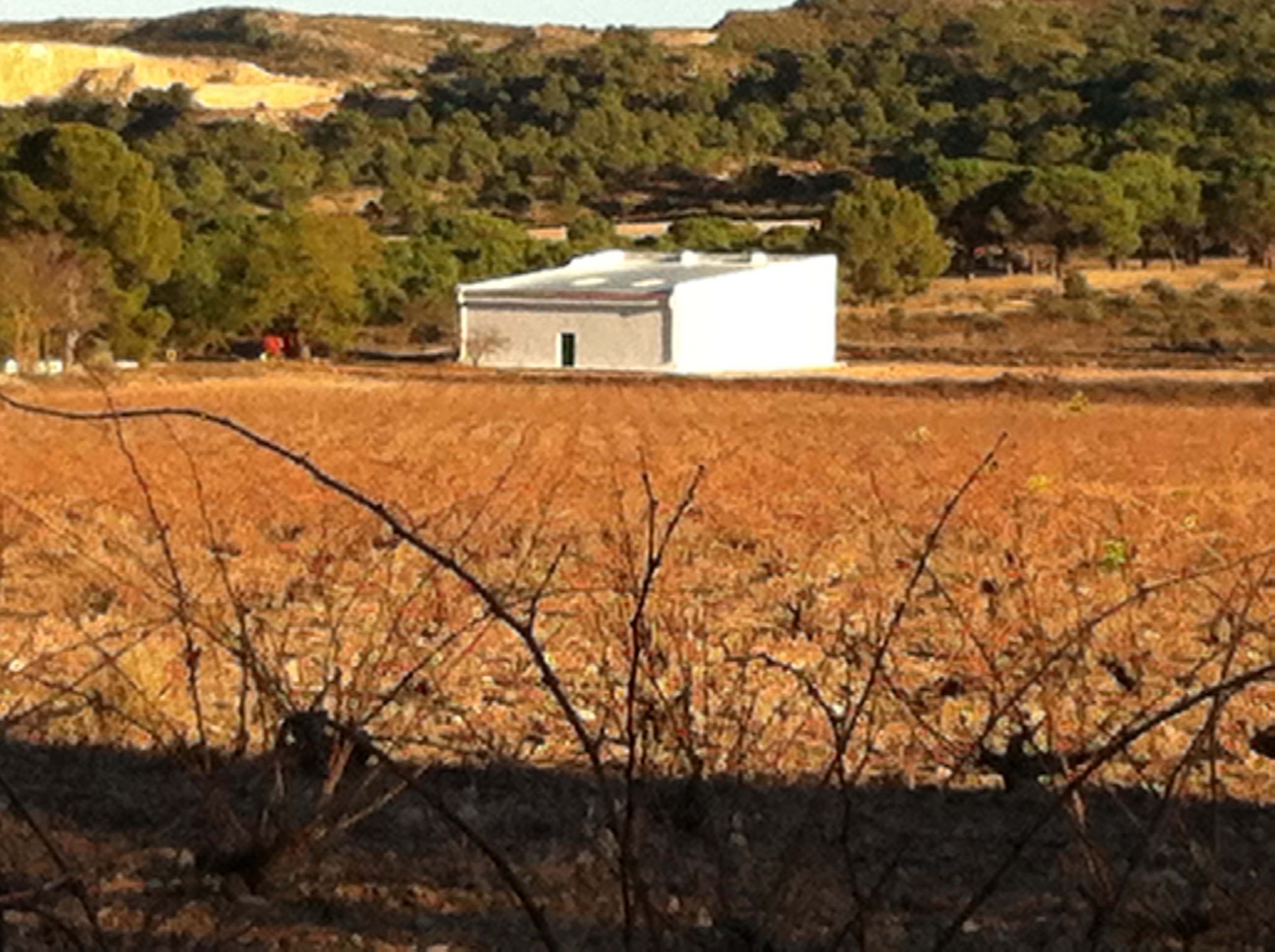 FINCA ENTRE YECLA Y CAUDETE