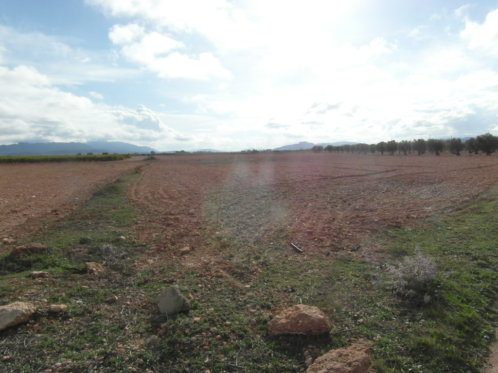 CASA DE CAMPO PARA ARREGLARLA EN YECLA