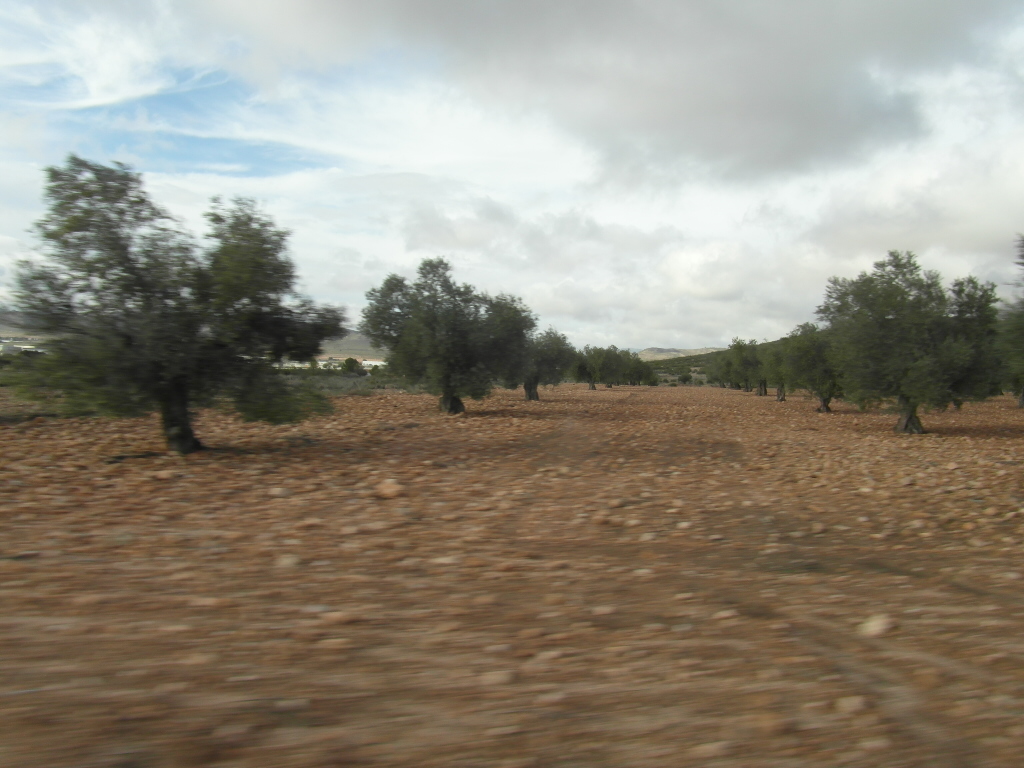 CASA DE CAMPO PARA ARREGLARLA EN YECLA