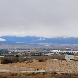 PARCELA BARATA DE TERRENO RUSTICO A 2 KM. DE YECLA