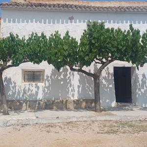CASA DE CAMPO ADOSADA DE 157 MTS. EN YECLA