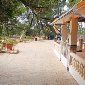 CHALET MUY CERCA DE YECLA, CON PISCINA Y AMUEBLADO CHALET MUY CERCA DE YECLA, CON PISCINA Y AMUEBLADO