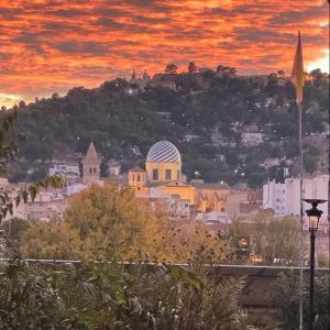 TERRENO RUSTICO  CON AGUA DE POZO Y EN YECLA