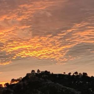 PARCELAS DE TERRENO RUSTICO PARA HACER CHALET EN YECLA