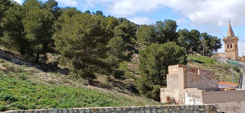 TERRENO RUSTICO CON AGUA DE POZO Y MUY CERCA DE YECLA