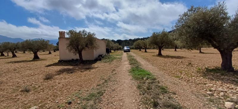 CAMPO CON COCHERA JUNTO A MONTES DE PINOS Y EN YECLA