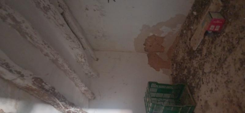 CAMPO CON CASA 157 METROS Y EN EL TERMINO DE YECLA