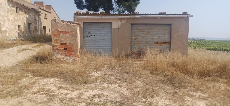 CAMPO CON CASA 157 METROS Y EN EL TERMINO DE YECLA