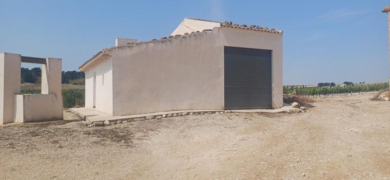 CAMPO CON CASA 157 METROS Y EN EL TERMINO DE YECLA