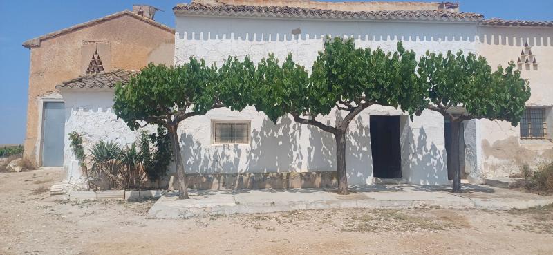 CAMPO CON CASA 157 METROS Y EN EL TERMINO DE YECLA