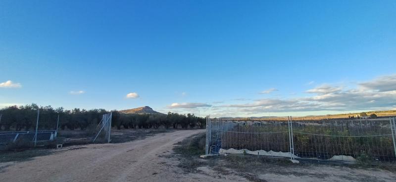 CASA DE CAMPO ADOSADA CON 2 COCHERAS CERRADAS INDEPENDIENTES Y EN YECLA