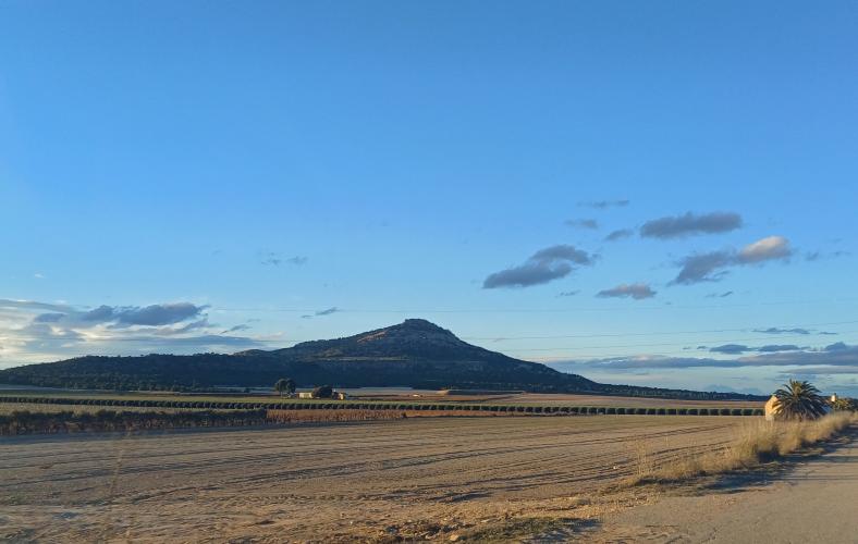 TERRENO RUSTICO CON AGUA DE POZO Y CASA EN YECLA