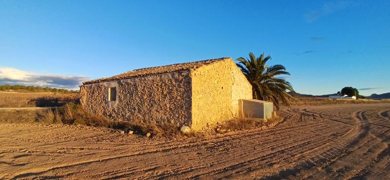 TERRENO RUSTICO CON AGUA DE POZO Y CASA EN YECLA