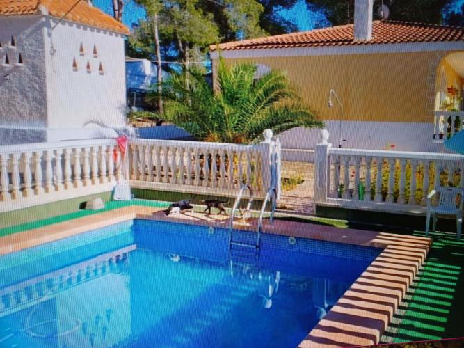 CHALET PARA VIVIR TODO EL AÑO Y MUY CERCA DE YECLA