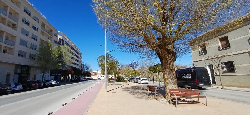 PISO MUY NUEVO EN ZONA PLAZA DE TOROS Y EN YECLA