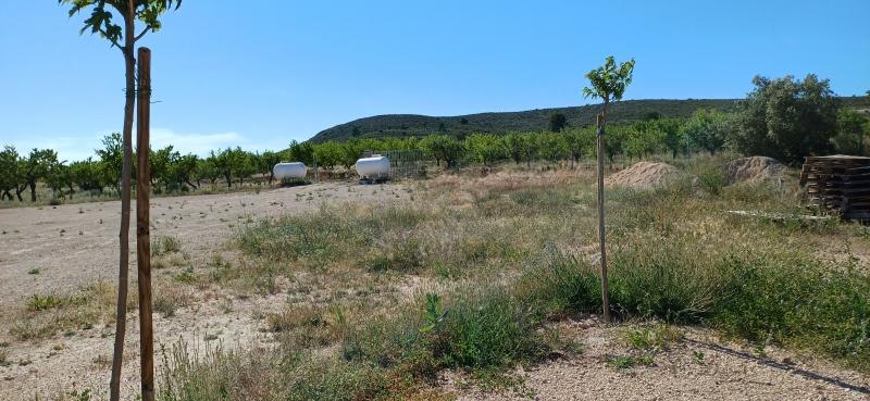 CHALET PARA ENTRAR A VIVIR EN ALTOS DE CAUDETE Y EN YECLA
