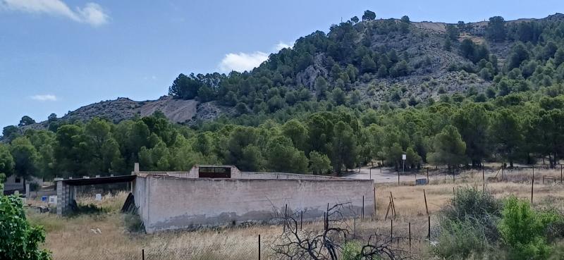 CAMPO JUNTO AL MONTE DEL CASTILLO CON TRASTEROS Y EN YECLA