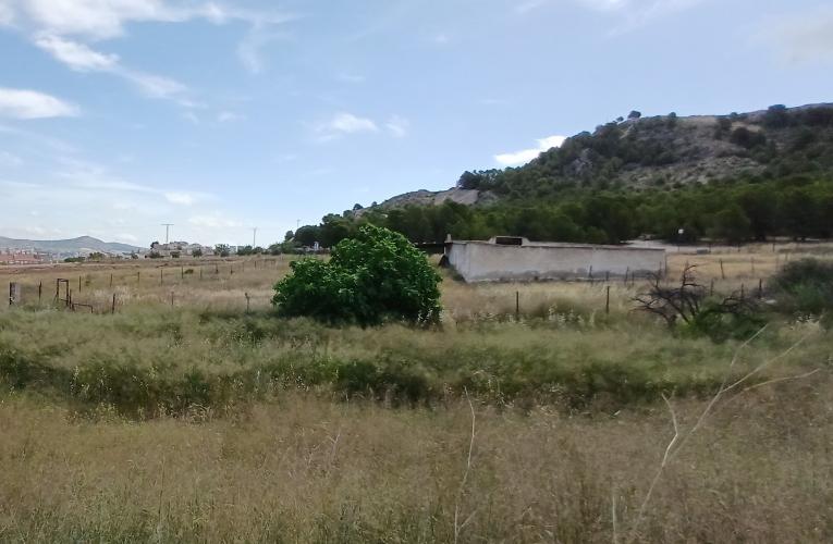CAMPO JUNTO AL MONTE DEL CASTILLO CON TRASTEROS Y EN YECLA