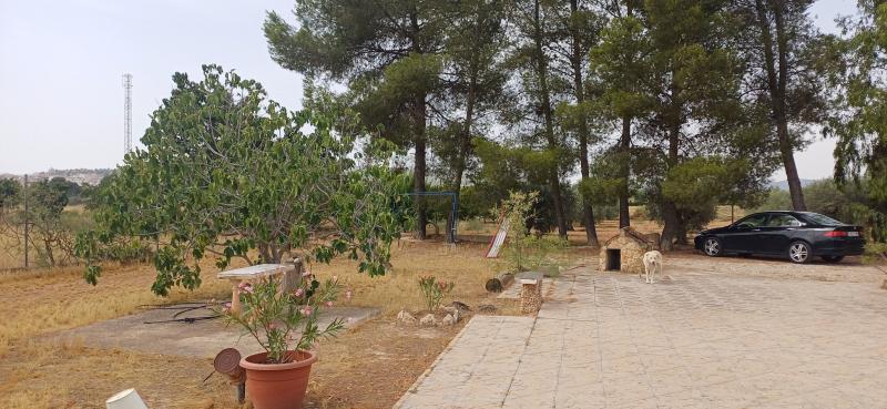 CHALET MUY CERCA DE YECLA, CON PISCINA Y AMUEBLADO