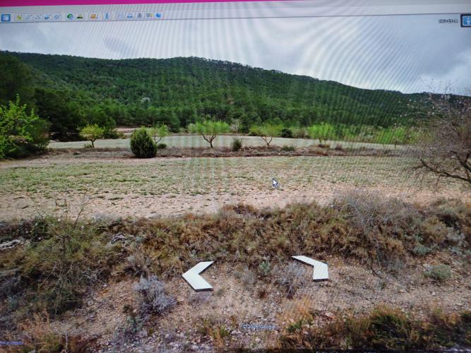 PARCELA DE TERRENO YERMO JUNTO A MONTE DE PINOS Y EN YECLA