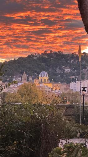 TERRENO RUSTICO  CON AGUA DE POZO Y EN YECLA