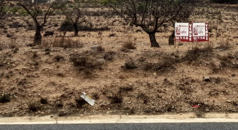 TERRENO RUSTICO A ORILLA DE LA CARRETERA DE CAUDETE Y EN YECLA