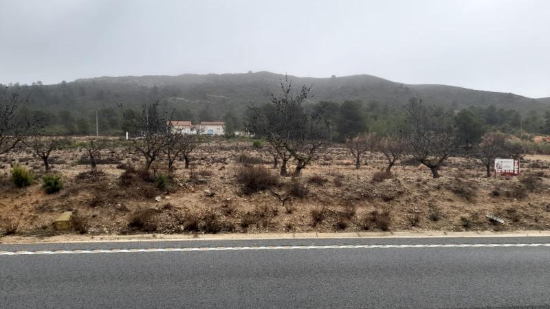 TERRENO RUSTICO A ORILLA DE LA CARRETERA DE CAUDETE Y EN YECLA