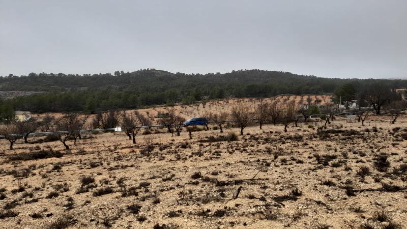TERRENO RUSTICO A ORILLA DE LA CARRETERA DE CAUDETE Y EN YECLA