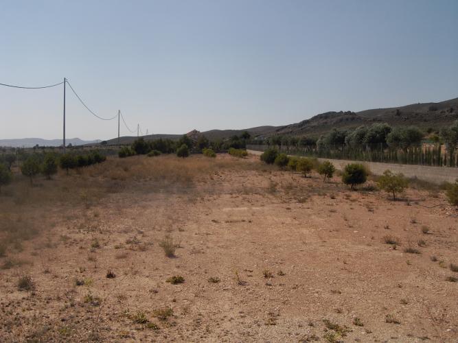 CHALET PARA CONSTRUIRLO CERCA DE YECLA